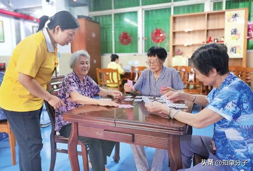 肇慶市養老服務條例 9月1日起施行,三大焦點問題引關注